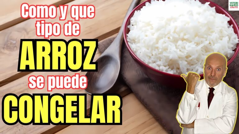 se puede congelar el arroz con leche
