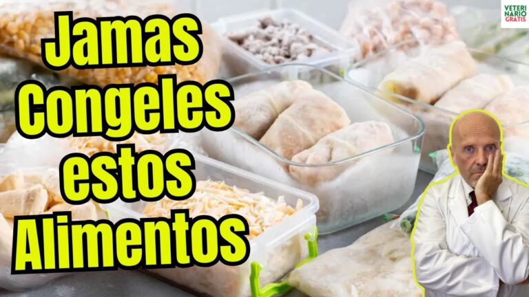 se puede congelar la tortilla francesa