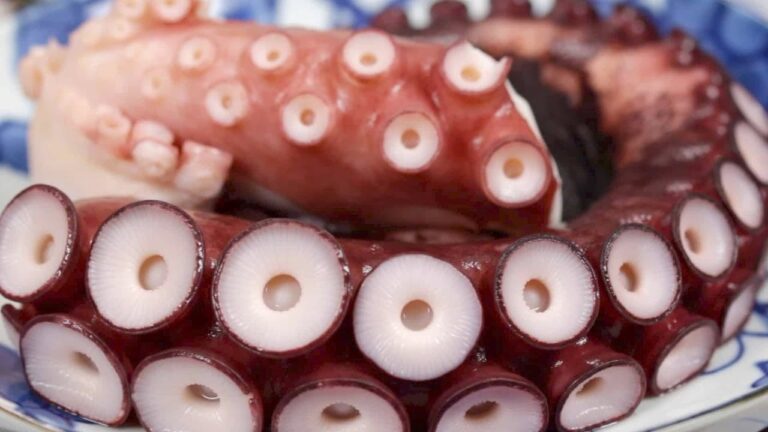 tiempo cocción pulpo 2 5 kg